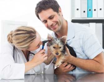 Vétérinaire CABINET VETERINAIRE (INDEPENDANT) 